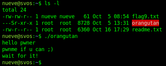 Listing and execution of the exploitable program.